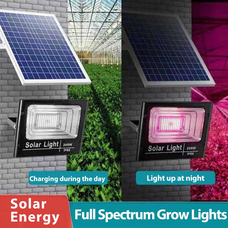 Renewable Energy Project - أضواء نمو النباتات LED تعمل بالطاقة