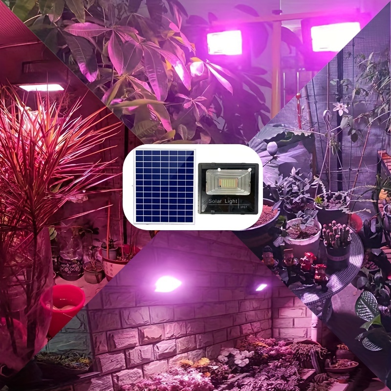 ضوء LED للطاقة الشمسية للنباتا - مراجعة Renewable Energy Project وسعره